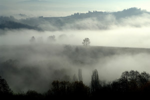 nebbia